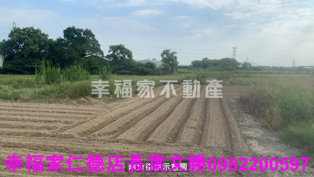 新市農地-9