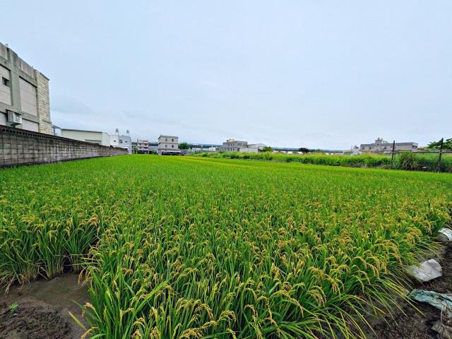 農地現況