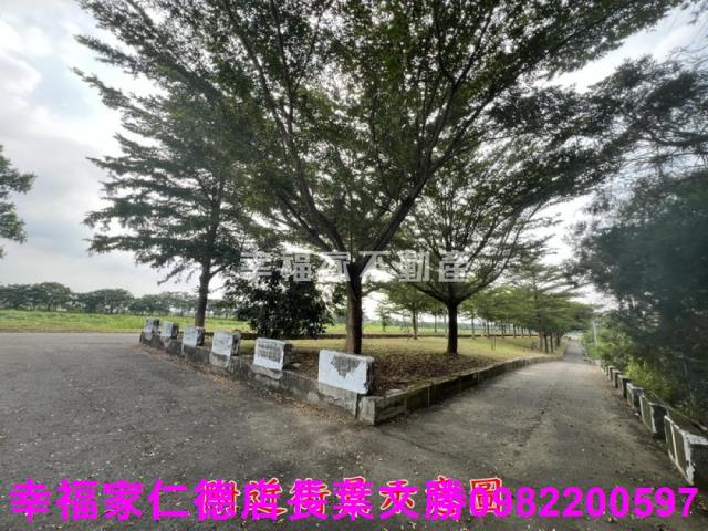 台南新化農地-11
