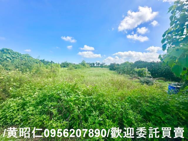 台南麻豆農地-3
