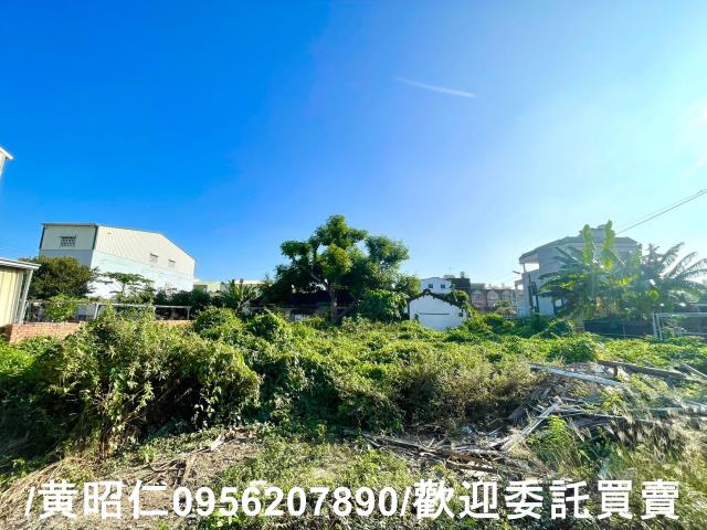 台南善化建地-5