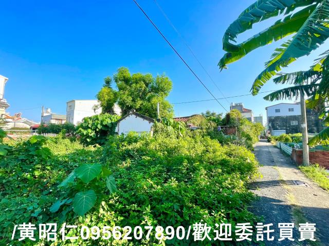 台南善化建地-6