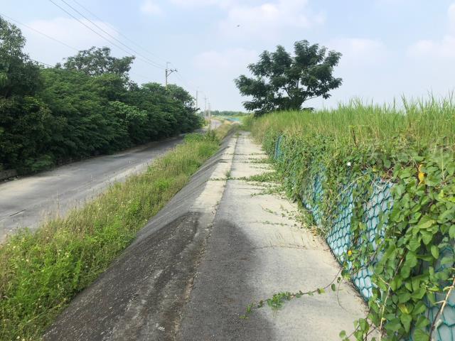 台南後壁農地-5