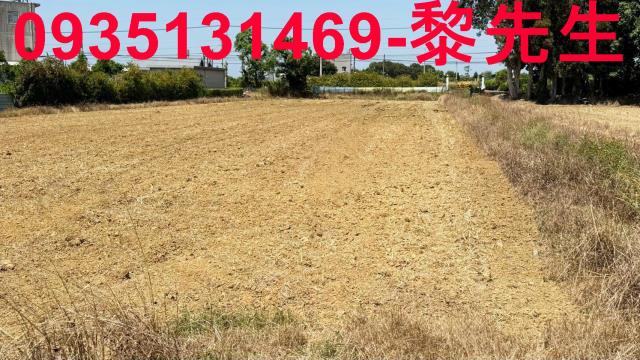 楊梅農地-1