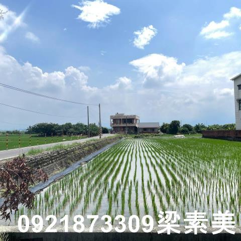 台南白河農地-12