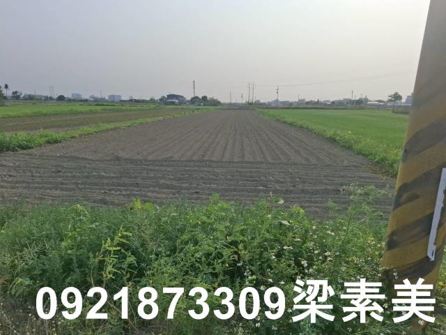 台南善化農地-9