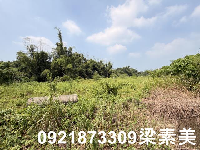 歸仁農地-1