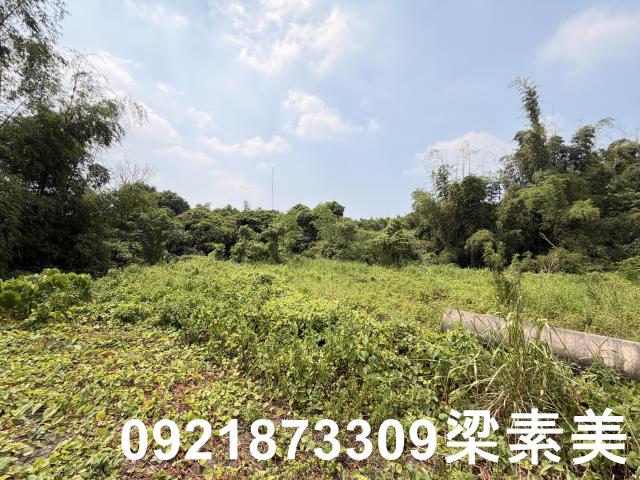 歸仁農地-2