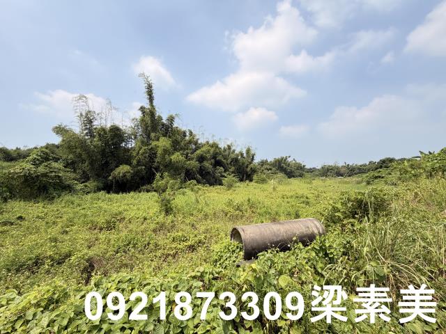 歸仁農地-3