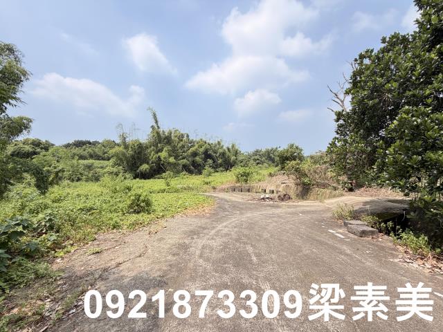 歸仁農地-4