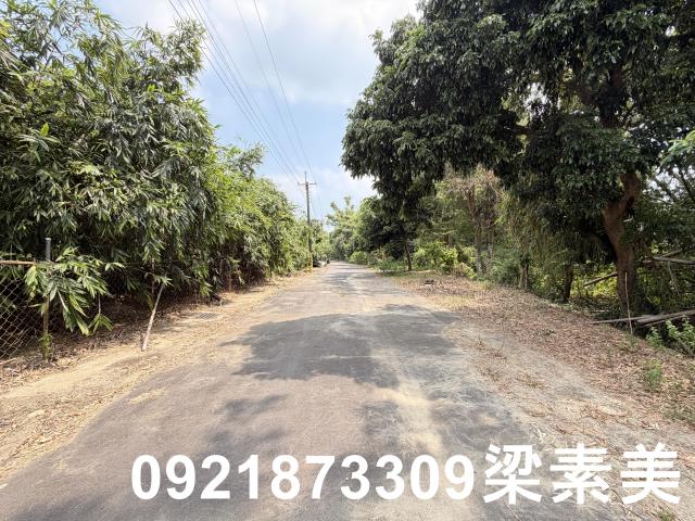 歸仁農地-5