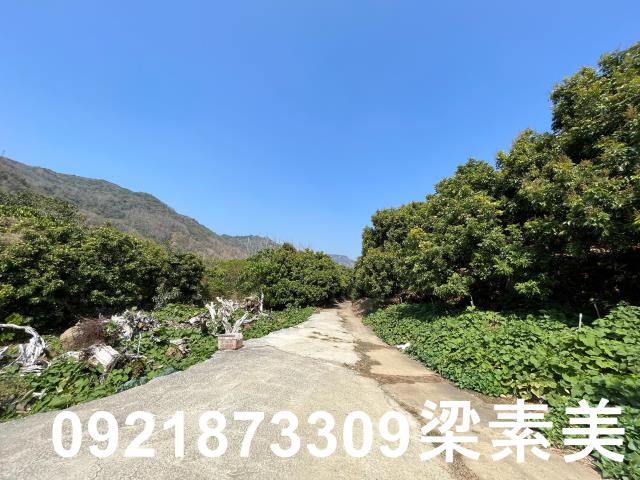 楠西農地-2