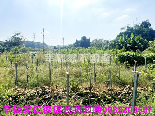 柳營農地-5