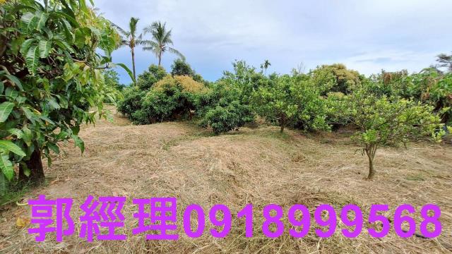 官田農地-2