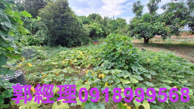 官田農地-9