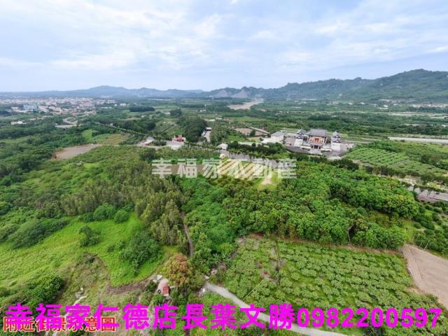 玉井農地-11