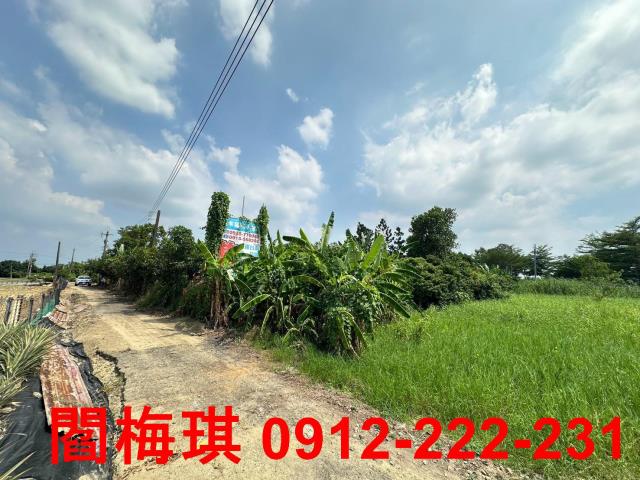 台南農地-2