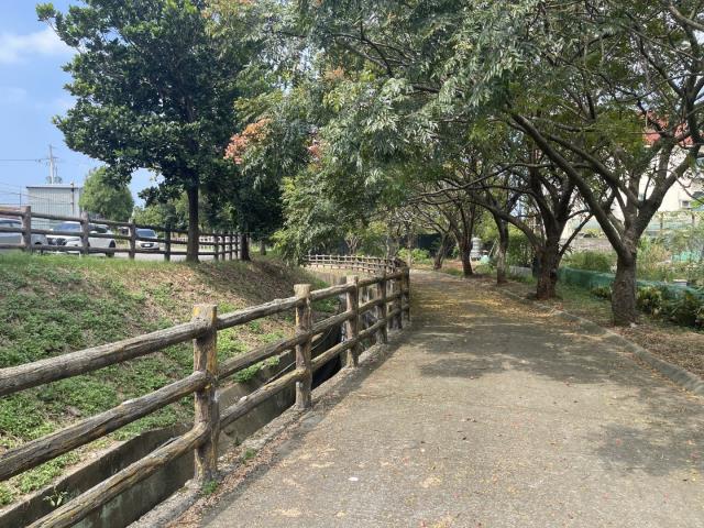 桃園平鎮農地-1