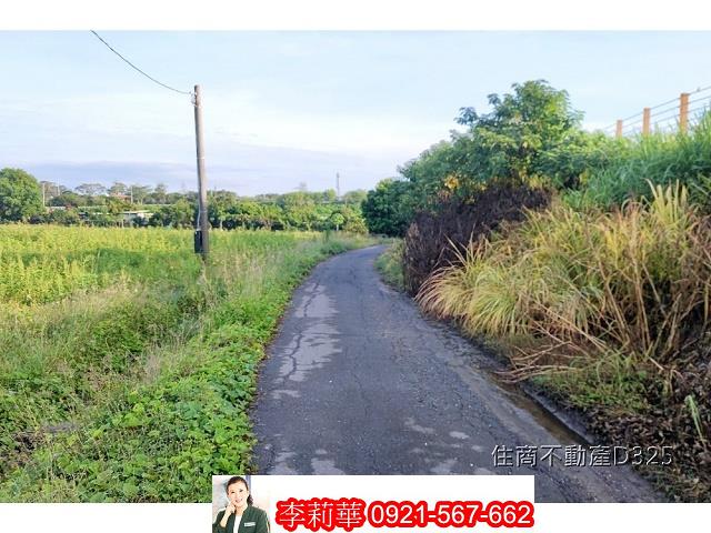 柳營農地-2