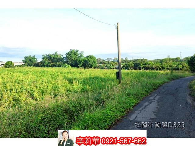 柳營農地-3