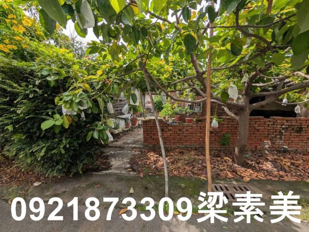 台南建地-7