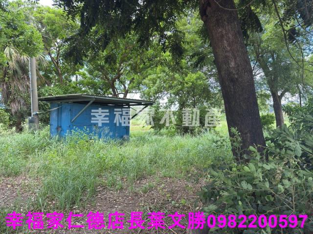 台南新市農地-3