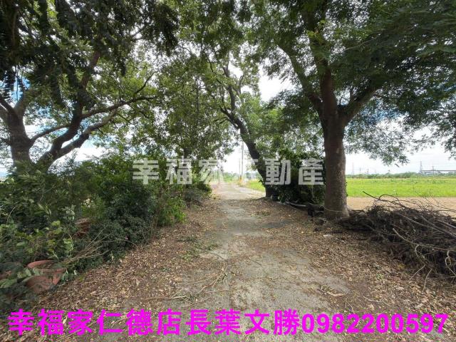 台南新市農地-9