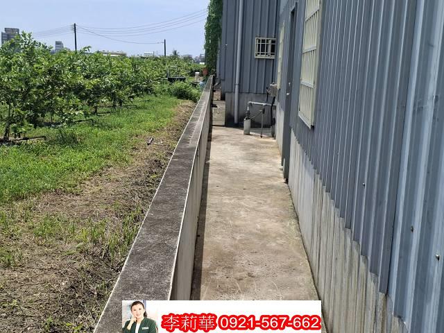 高雄燕巢農地-9