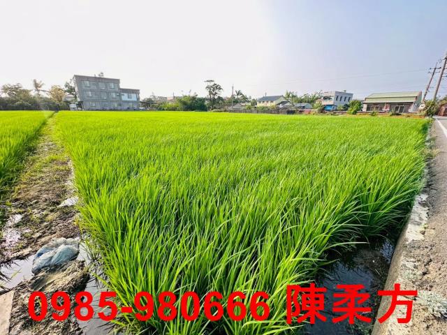 太保建地-8