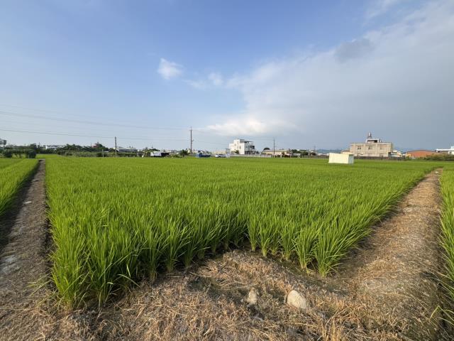 南投草屯農地-1