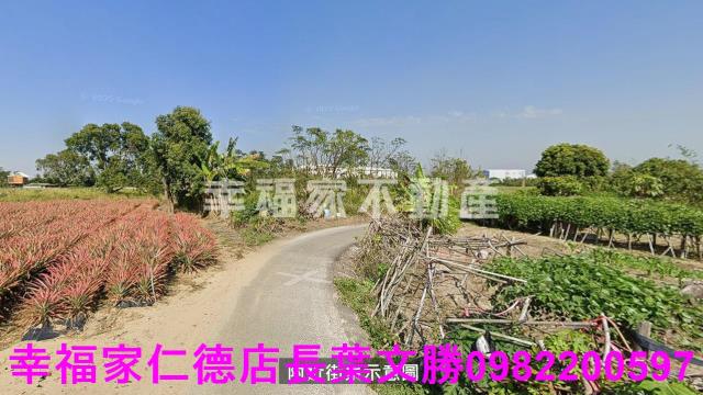 歸仁農地-2