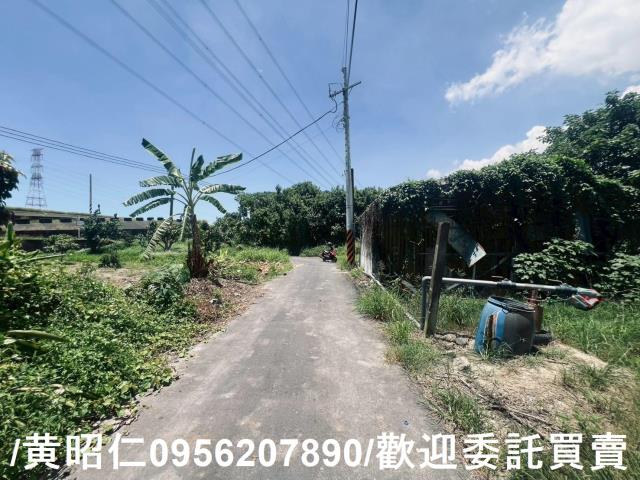 麻豆農地-10