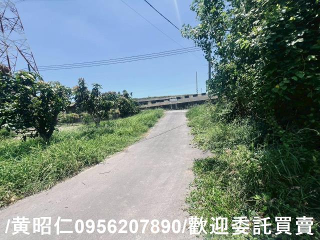 麻豆農地-1
