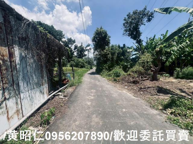 麻豆農地-3