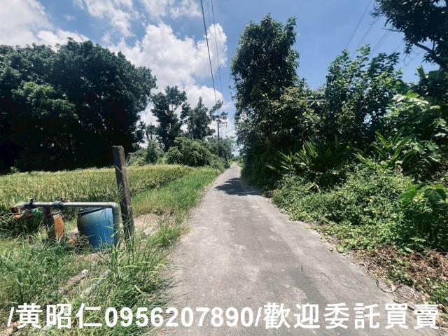 麻豆農地-8