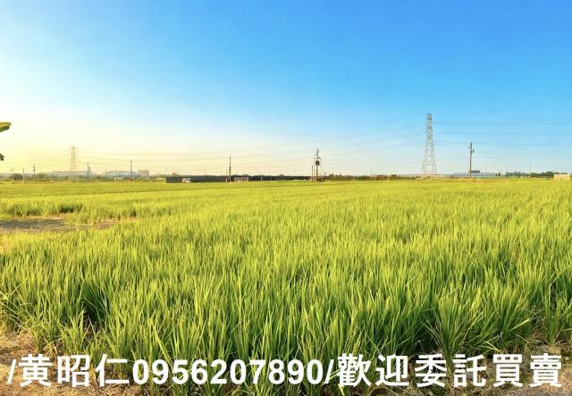 柳營農地-3