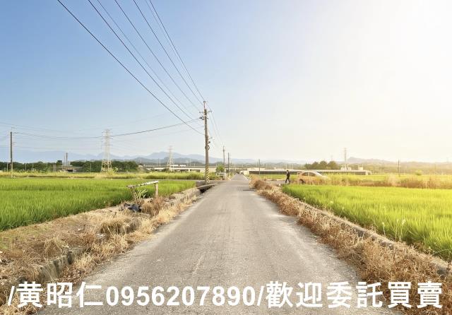 柳營農地-8
