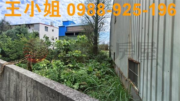 桃園建地-4