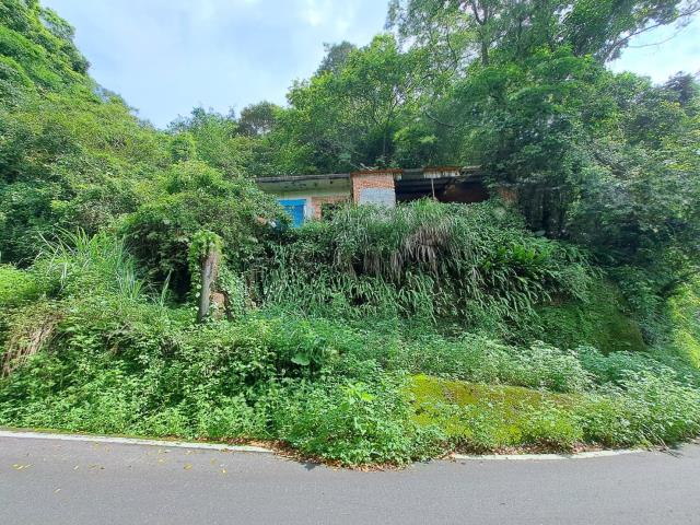 芎林林地-5