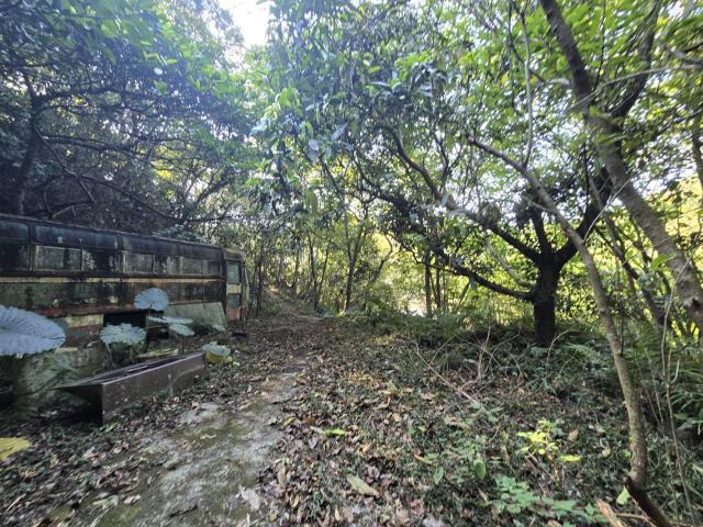 芎林林地-7