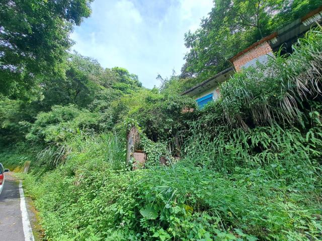 芎林林地-4