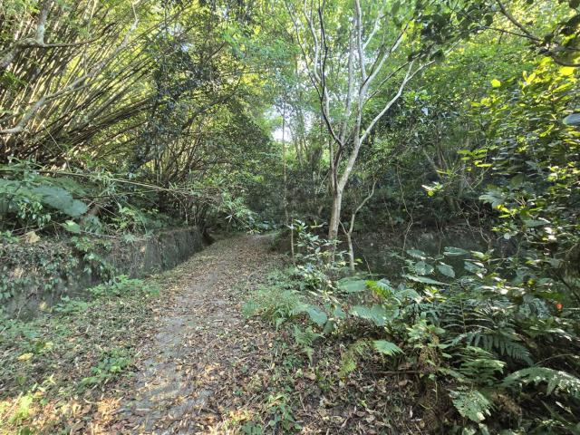 芎林林地-9