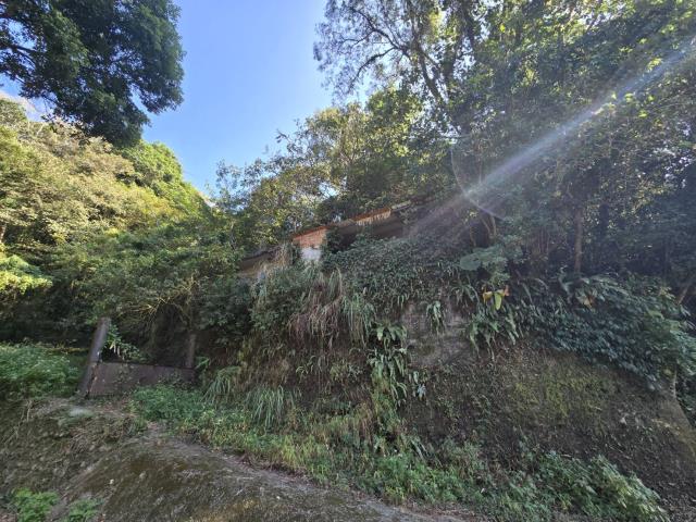 芎林林地-10