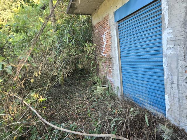 芎林林地-12