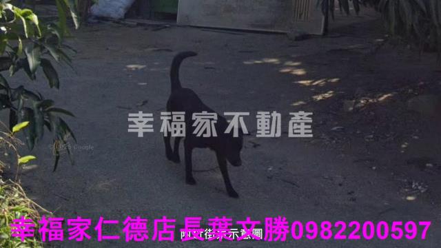 歸仁農地-2