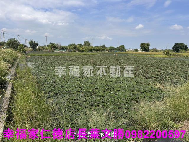 台南農地-1