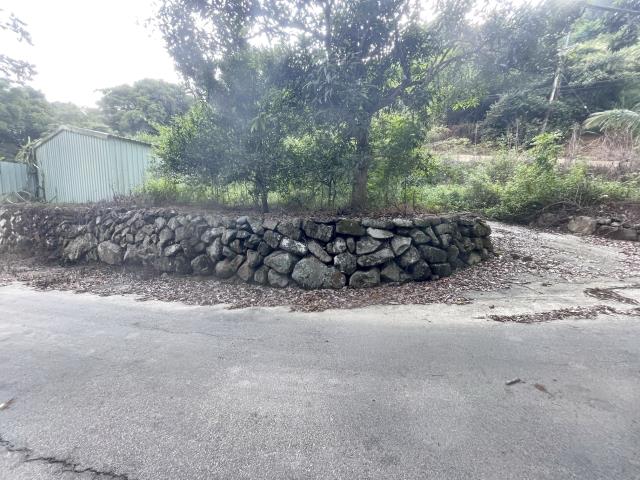 南投國姓農地-1