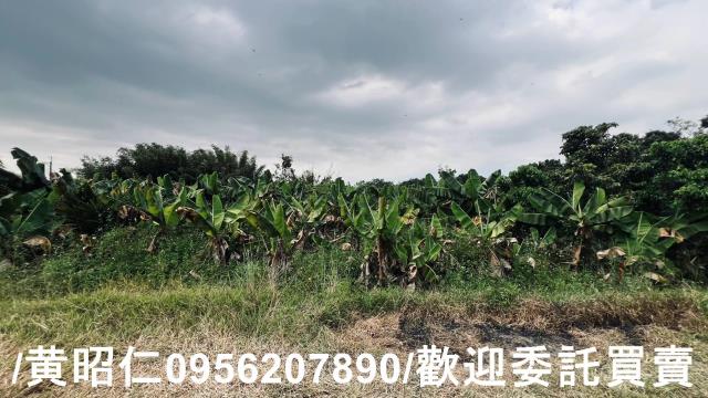 台南歸仁農地-11