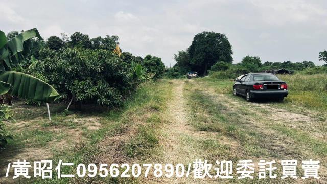 台南歸仁農地-14