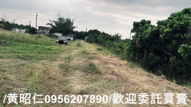 台南歸仁農地-2